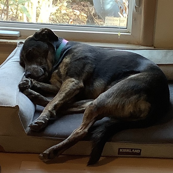 Smoke free - Animal friendly home - Fast shipping - Picture 2 of 7